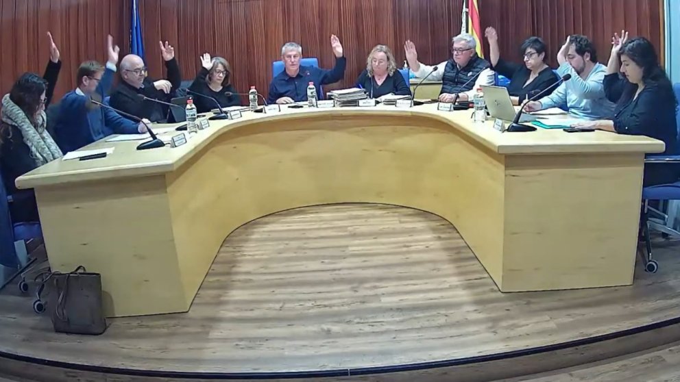 Ple municipal extraordinari